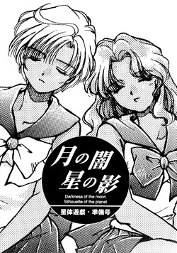sailor moon <span class='split_tag'> |  Bishoujo Senshi Sailor Moon</span>