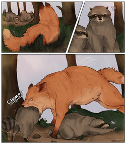 Fun with Raccoons