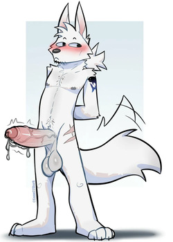 SharkSharkSame