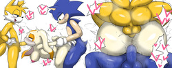 Sonic the Hedgehog Collection