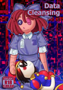 Data Cleansing