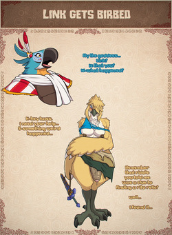 Link gets birbed