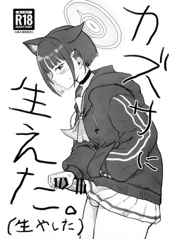 Kazusa ni Haeta.