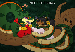 Meet The King